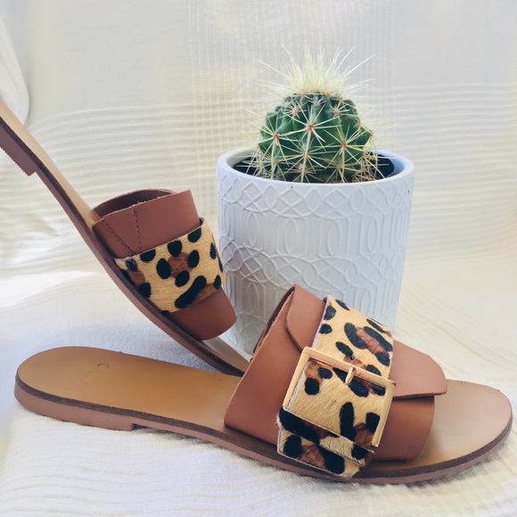 Novo Shoes Shoes - Novo Shoes squeeze slides size 37